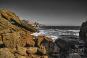 Dramatic Contrast Poster