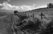 Country Lane At Ebey's Landing Poster