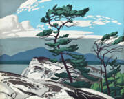 White Pine By A. J. Casson Poster by Alfred Joseph A J Casson