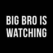 Big Bro Is Watching Poster