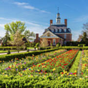 Tulip Garden At The Governor's Palace Poster
