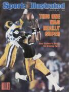 John Stallworth's Super Catch Art Print