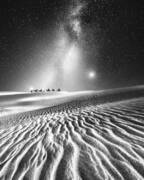 Camel Caravan Under Starry Night Art Print