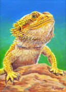 Bearded Dragon Portrait Art Print