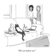 Cat Relaxing on Couch with Laptop Art Print