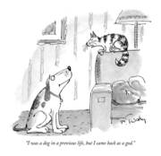 Dog and Cat Philosophical Exchange Art Print