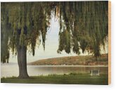 Serene Lakeside Willow Tree View Wood Print