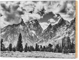Grand Teton Np In Black And White Wood Print