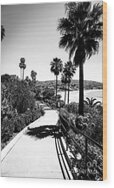 Laguna Beach Heisler Park In Black And White Wood Print