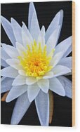 Star On The Water Wood Print
