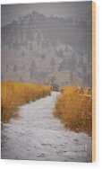 The Flatirons At Chautauqua Park Boulder Colorado Wood Print