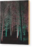 Longwood Gardens - Tree Walk At Night Wood Print