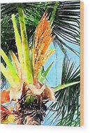 Under The Coconut Palm Wood Print