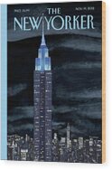 Empire State Building at Night Wood Print