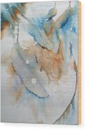 Dream Catcher Wood Print