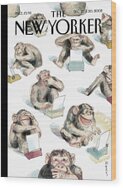 Monkeys Typing on Typewriters Wood Print by Barry Blitt