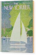 Peaceful Sailing on a Sunny Day Wood Print
