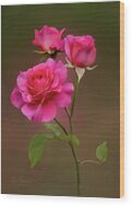 Digitally Painted Roses Wood Print