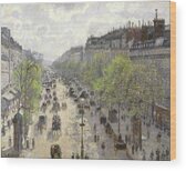 Spring on Boulevard Montmartre Wood Print