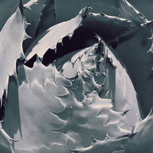 Impression #1 by Kelley King