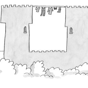 Captionless by Liza Donnelly