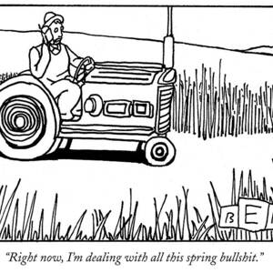 Right Now, I'm Dealing With All This Spring by Bruce Eric Kaplan Right Now, I'm Dealing With All This Spring by Bruce Eric Kaplan