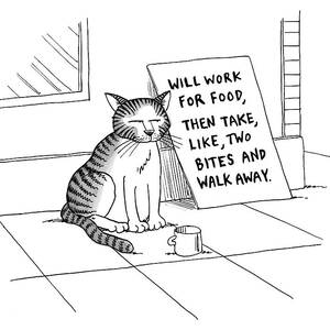 New Yorker September 22nd, 2008 by Joe Dator