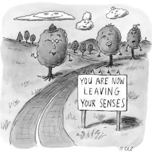 New Yorker April 20th, 2009 by Roz Chast