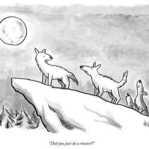 Did You Just Do A Rooster? by Robert Leighton Did You Just Do A Rooster? by Robert Leighton