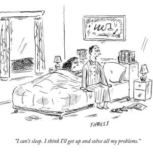 I Can't Sleep. I Think I'll Get Up And Solve All by David Sipress