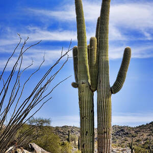 Loving Couple by Kelley King