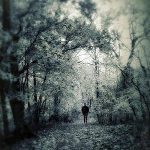 Mournful Journey #2 by Jessica Jenney