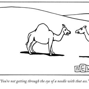 You're Not Getting Through The Eye Of A Needle by Bruce Eric Kaplan