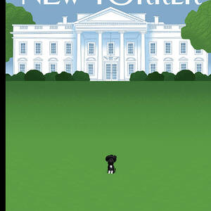 Bo by Bob Staake Bo by Bob Staake