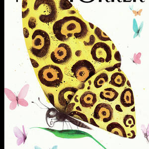 Metamorphosis by Ana Juan