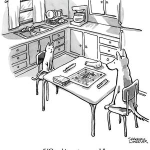 A Cat And Dog Play Scrabble In A Kitchen. 'grrr' by Shannon Wheeler