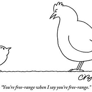 A Chicken Tells Her Baby Chick by Charles Barsotti