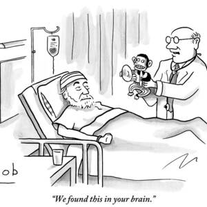 A Doctor Shows A Tambourine Monkey Toy by Bob Eckstein