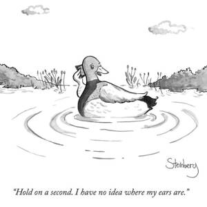 A Floating Duck On A Lake by Avi Steinberg