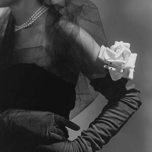 A Model Wearing And Velvet Rose by Horst P. Horst