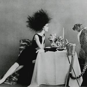 A Model With A Cheetah by Leombruno-Bodi A Model With A Cheetah by Leombruno-Bodi