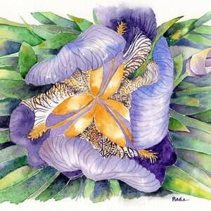 A New Perspective by Catherine Bede