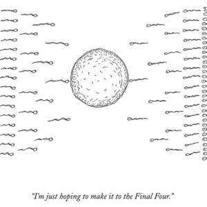 A Number Of Sperms Approach An Egg In The Shape by Michael Shaw A Number Of Sperms Approach An Egg In The Shape by Michael Shaw