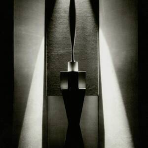 A Sculpture Called The Bird by Edward Steichen