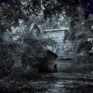 A Silvery Moon by Jessica Jenney