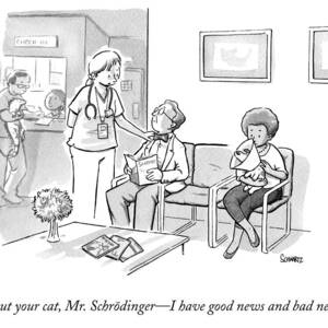 A Veterinarian Confronts A Man In The Waiting by Benjamin Schwartz A Veterinarian Confronts A Man In The Waiting by Benjamin Schwartz