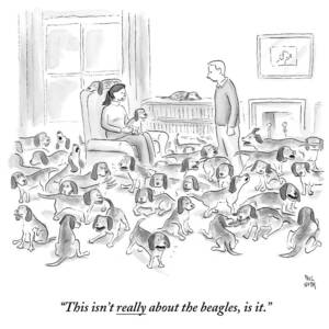 A Wife Surrounded By Beagles Addresses by Paul Noth