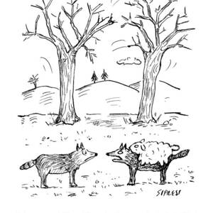 A Wolf In A Sheep Pelt Talking To Another Wolf by David Sipress A Wolf In A Sheep Pelt Talking To Another Wolf by David Sipress
