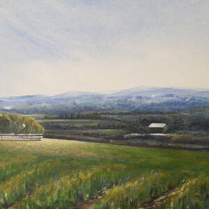 Aotearoa by Jane See