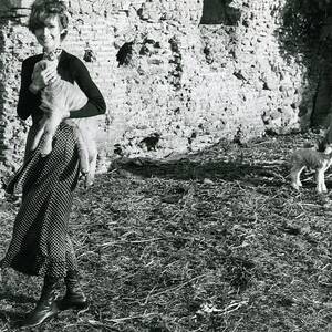 Audrey Hepburn On A Farm by Henry Clarke Audrey Hepburn On A Farm by Henry Clarke